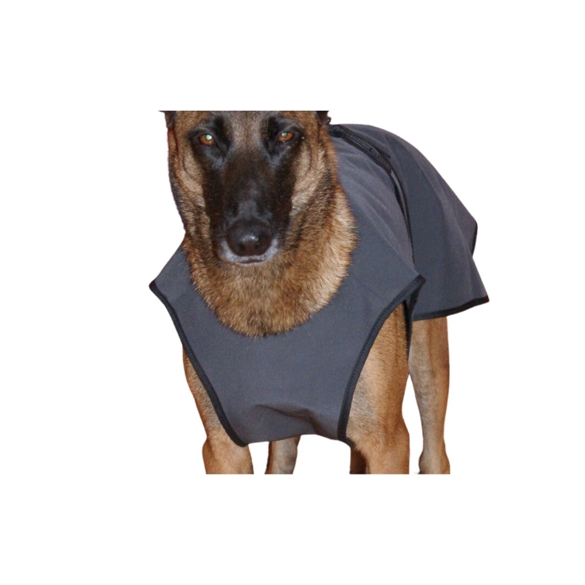 Manteau pour chien Diego et Luna Soft Shell - manteau imperméable