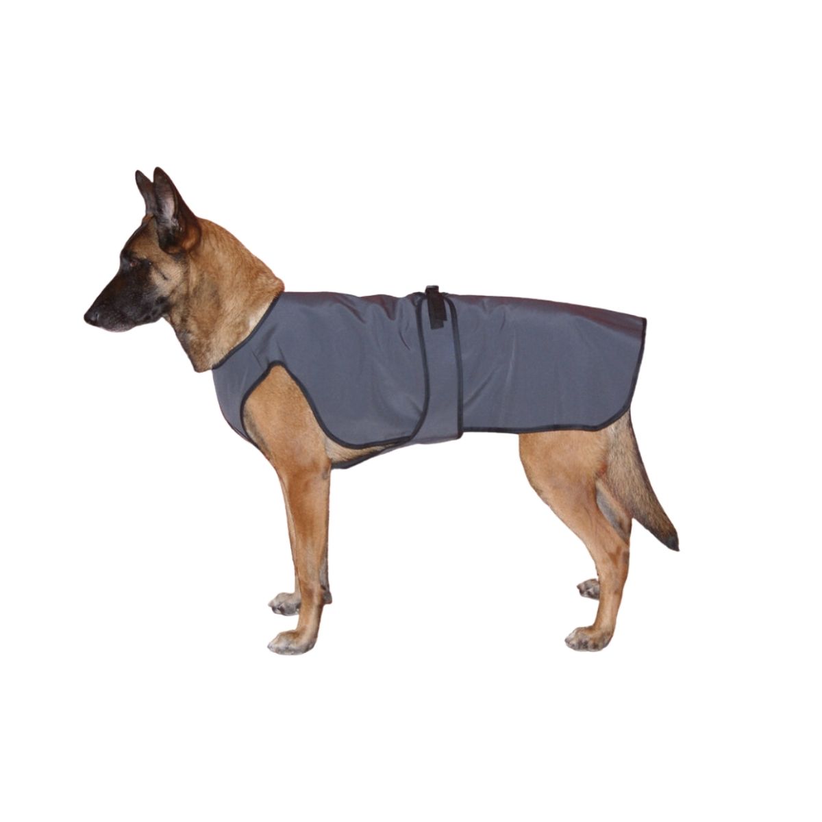 Un manteau pour chien est-il vraiment utile ?