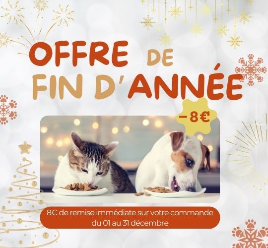 pop up offre de fin d'année